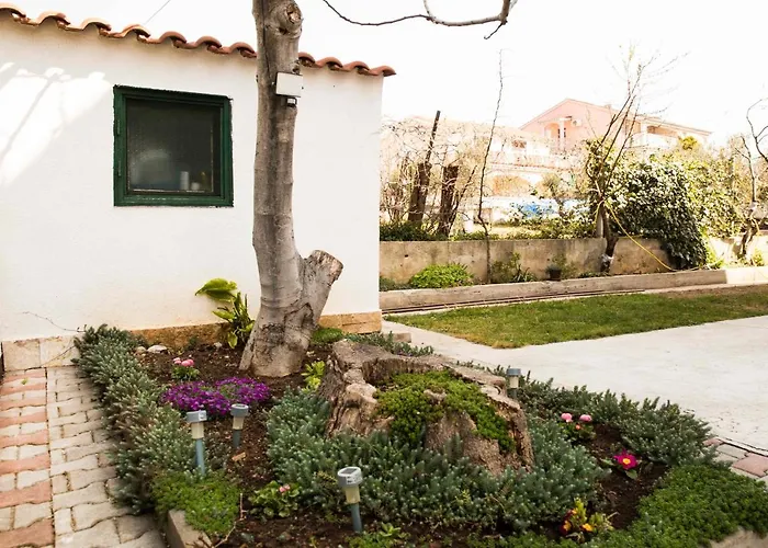 Zora ヴォディツェ